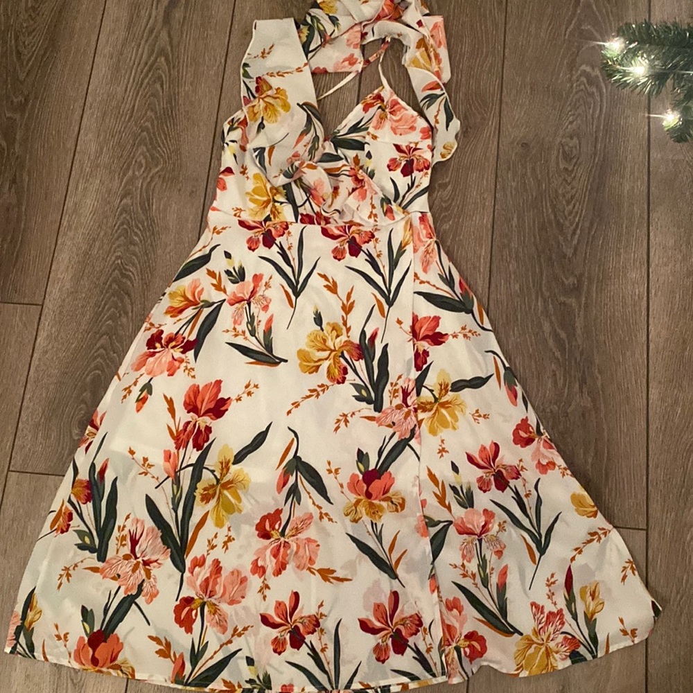 Pre-worn size 8 spring dress.